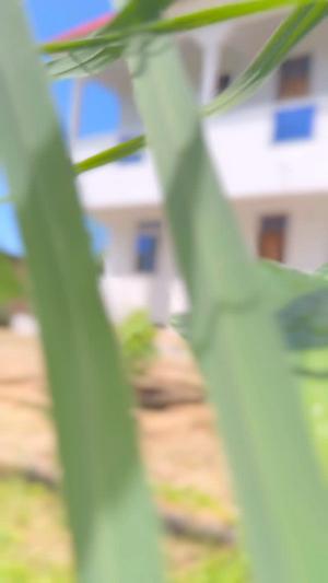 Nyumba ya vyumba vitano inauzwa Matemwe Muyuni, Zanzibar