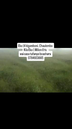 Farm for Sale in Near Pemba Mnazi Primary School, Morogoro (14 acre) Farm for Sale in Near Pemba Mnazi Primary School, Morogoro (14 acre)