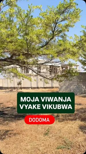 Residential Plot for Sale in Itega/Mbweni Jkt, Dodoma (3300 sqm) Residential Plot for Sale in Itega/Mbweni Jkt, Dodoma (3300 sqm)