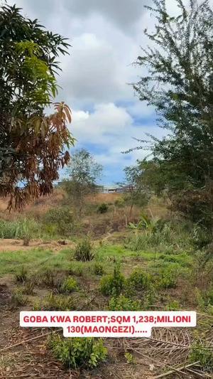 Kiwanja kinauzwa Goba Kwa Robert, Dar Es Salaam (1238 sqm) Kiwanja kinauzwa Goba Kwa Robert, Dar Es Salaam (1238 sqm)