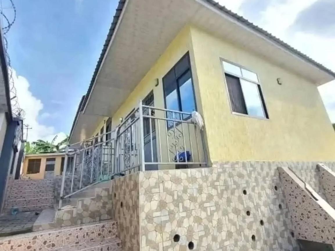 media -5