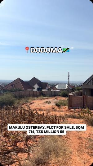 Kiwanja kinauzwa Makulu Osterbay, Dodoma sqm 714 Kiwanja kinauzwa Makulu Osterbay, Dodoma sqm 714