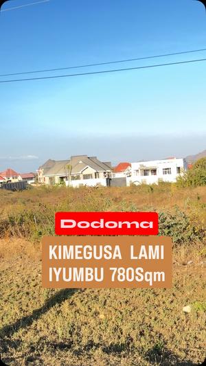 Plot for sale in Iyumbu, Dodoma sqm 780