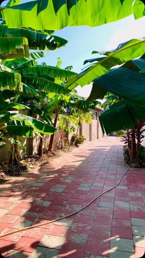 3 Bedrooms House for Rent in Bunju, Dar Es Salaam 3 Bedrooms House for Rent in Bunju, Dar Es Salaam