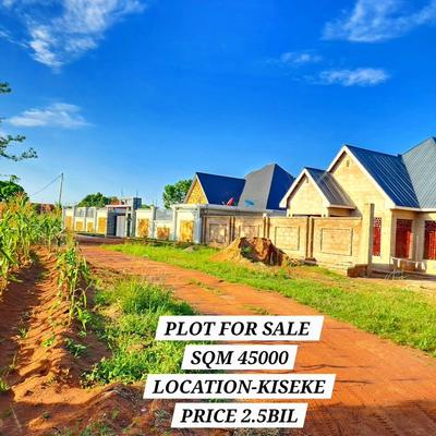 Kiwanja kinauzwa Kiseke Sabasaba, Mwanza sqm 45000 Kiwanja kinauzwa Kiseke Sabasaba, Mwanza sqm 45000