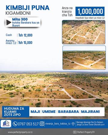 Viwanja vinauzwa Kimbiji Puna, Dar Es Salaam sqm 500