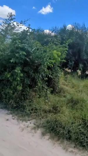 Plot for sale in Kigamboni Kisarawe, Dar Es Salaam sqm 1266