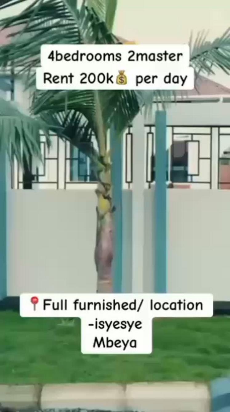 media -1 media -1