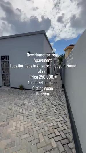 1 Bedroom Apartment for Rent in Tabata Kinyerezi Mbuyuni, Dar Es Salaam