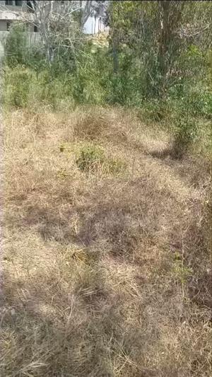 Viwanja vinauzwa Kimara Temboni, Dar Es Salaam (576 sqm) Viwanja vinauzwa Kimara Temboni, Dar Es Salaam (576 sqm)
