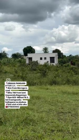 Plots for sale in Kibaha Pangani Mtakuja, Pwani Plots for sale in Kibaha Pangani Mtakuja, Pwani