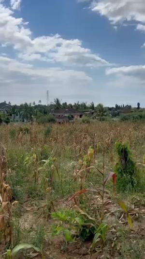 Nyumba ya vyumba vitatu inauzwa Bunju Tba, Dar Es Salaam (1500 sqm) Nyumba ya vyumba vitatu inauzwa Bunju Tba, Dar Es Salaam (1500 sqm)