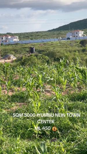 Plot for sale in Iyumbu Ntc, Dodoma sqm 5000