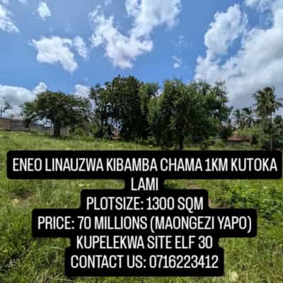 Residential Plot for Sale in Kibamba Chama, Dar Es Salaam (1300 sqm)