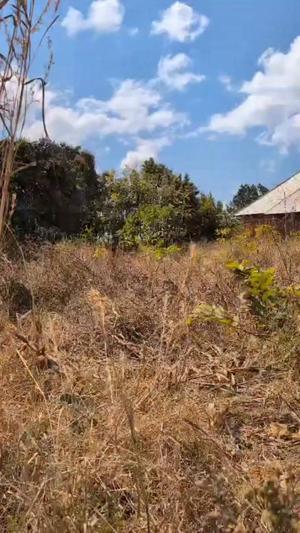 Nyumba inauzwa Songa Mjini, Ruvuma (0.5 acre) Nyumba inauzwa Songa Mjini, Ruvuma (0.5 acre)