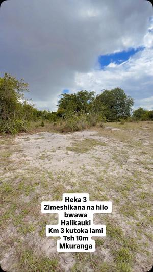 Shamba linauzwa Mkuranga, Pwani (3 acre) Shamba linauzwa Mkuranga, Pwani (3 acre)