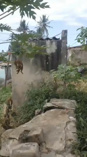 Nyumba ya vyumba vinne inauzwa Magomeni Kagera, Dar Es Salaam Nyumba ya vyumba vinne inauzwa Magomeni Kagera, Dar Es Salaam