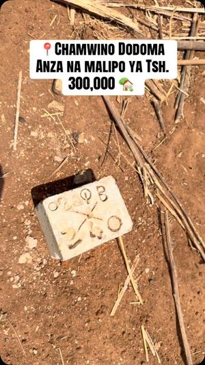 Viwanja vinauzwa Chamwino, Dodoma sqm 400 Viwanja vinauzwa Chamwino, Dodoma sqm 400