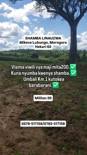 Farm for sale in Mikese Lubungo, Morogoro acre 60 Farm for sale in Mikese Lubungo, Morogoro acre 60