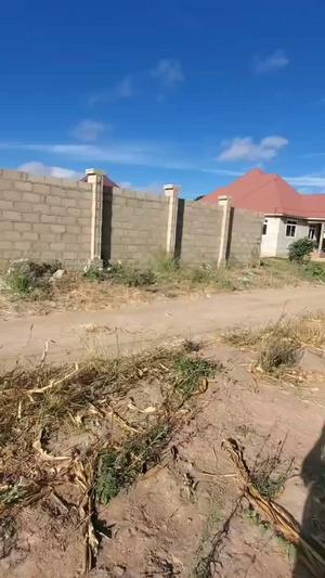 Kiwanja kinauzwa Kikuyu Sgr, Dodoma sqm 1300 Kiwanja kinauzwa Kikuyu Sgr, Dodoma sqm 1300