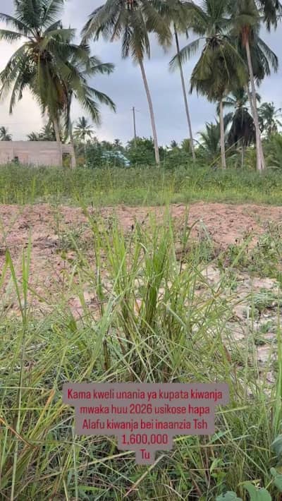 Plots for sale in Mbagala, Dar Es Salaam