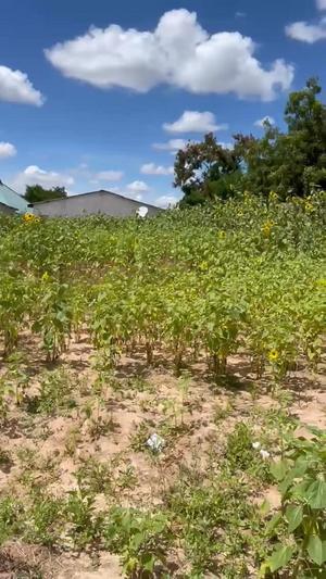 Kiwanja kinauzwa Mkalama, Morogoro sqm 750