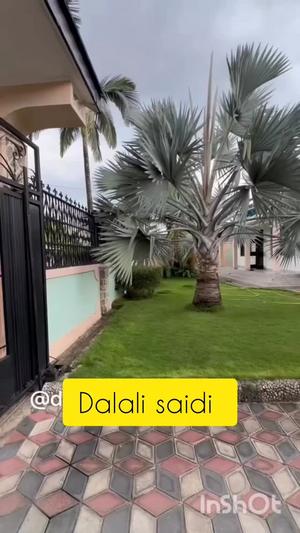 3 Bedrooms Apartment for Rent in Tabata Segerea Kwa Bibi, Dar Es Salaam 3 Bedrooms Apartment for Rent in Tabata Segerea Kwa Bibi, Dar Es Salaam