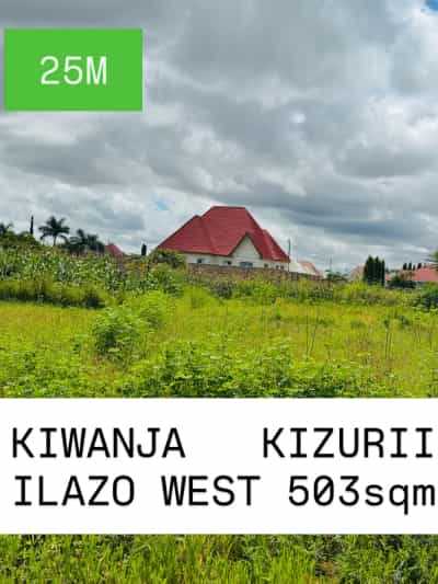 Kiwanja kinauzwa Ilazo, Dodoma (503 sqm)