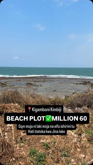 Beach Plots zinazouzwa Kigamboni Beach, Dar Es Salaam (500 sqm) Beach Plots zinazouzwa Kigamboni Beach, Dar Es Salaam (500 sqm)