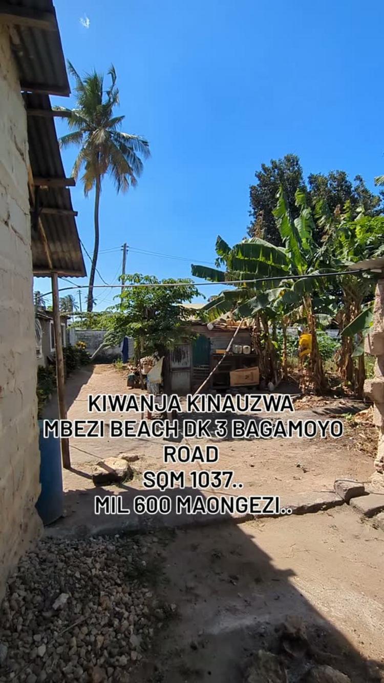 media -1 media -1