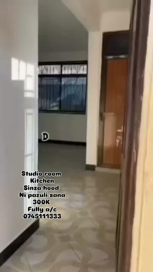 Studio Apartment for Rent in Sinza, Dar Es Salaam Studio Apartment for Rent in Sinza, Dar Es Salaam