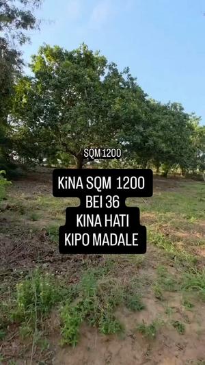 Kiwanja kinauzwa Madale, Dar Es Salaam (1200 sqm) Kiwanja kinauzwa Madale, Dar Es Salaam (1200 sqm)