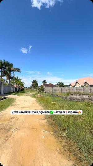 Kiwanja kinauzwa Kigamboni Kibada Shangwe, Dar Es Salaam sqm 800 Kiwanja kinauzwa Kigamboni Kibada Shangwe, Dar Es Salaam sqm 800