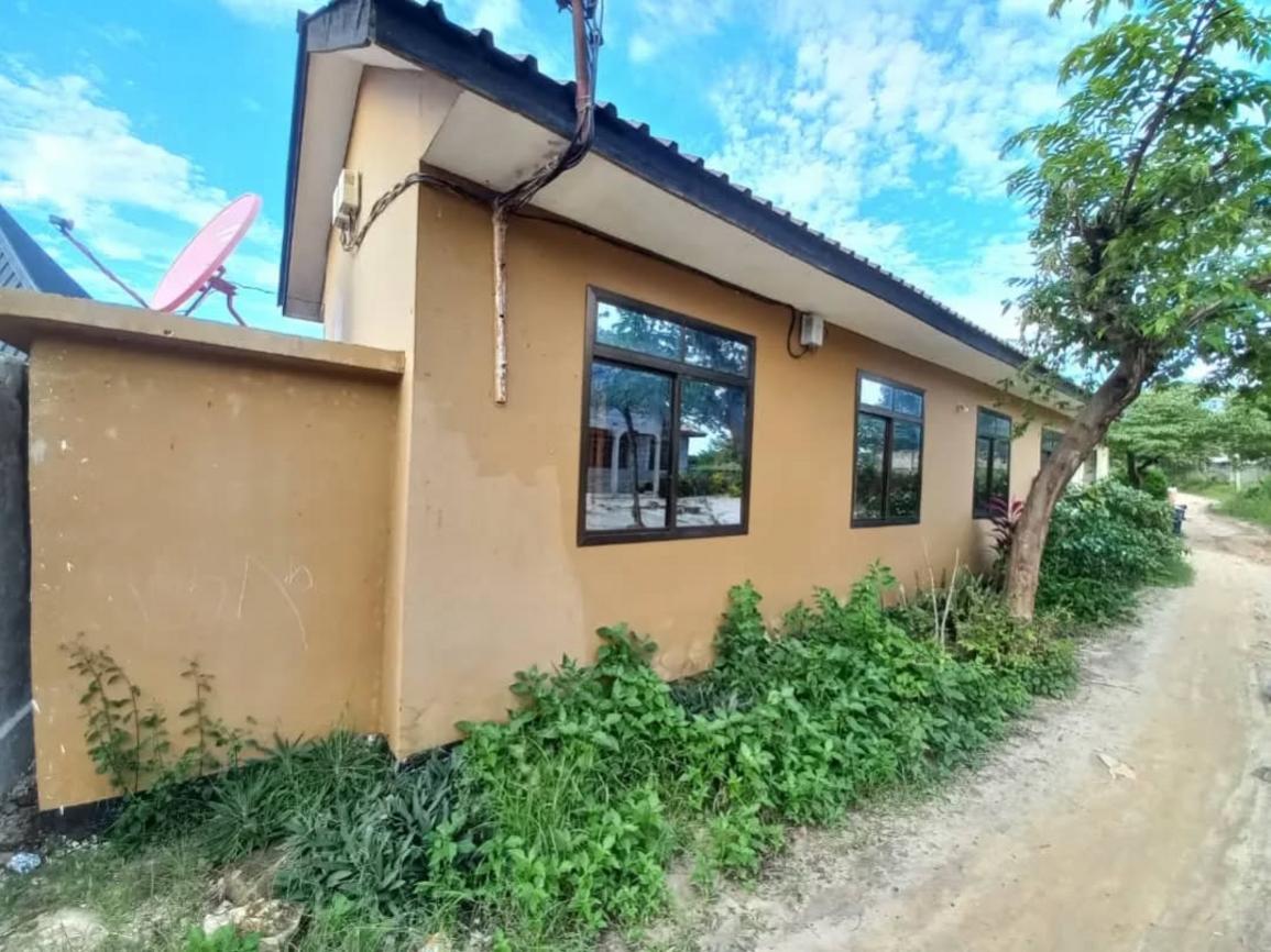  media -1
