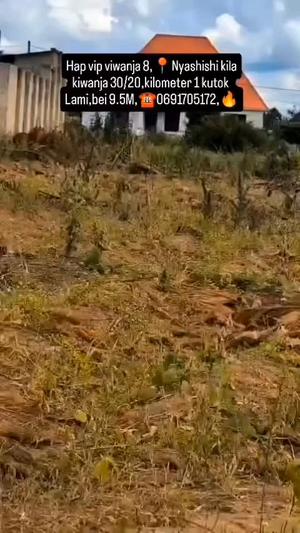 Viwanja vinauzwa Nyashishi, Mwanza sqm 600