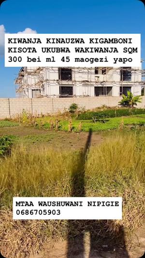 Kiwanja kinauzwa Kisota, Dar Es Salaam sqm 300