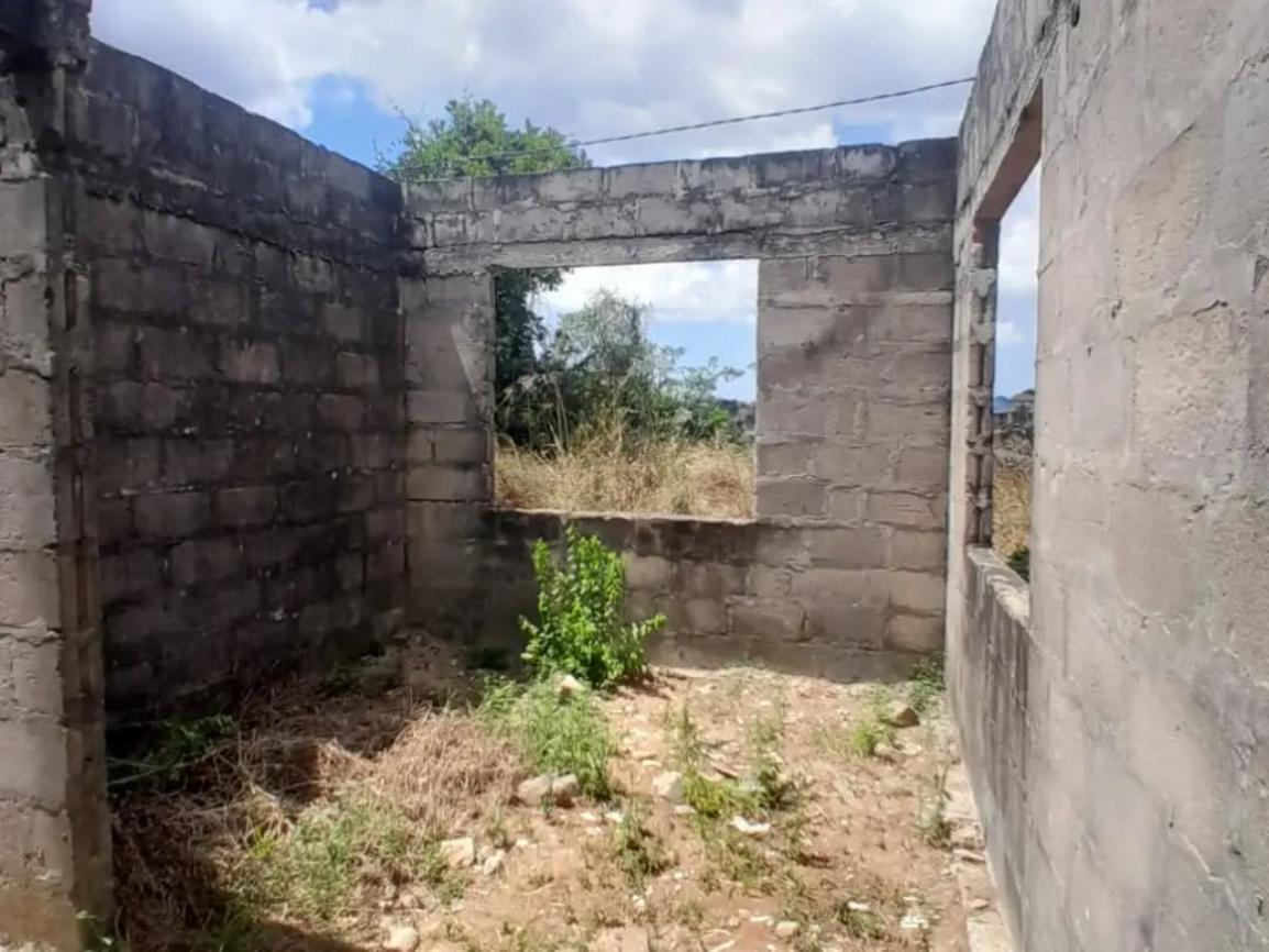 media -6