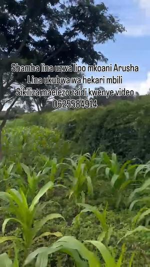 Plot for sale in Ngaramtoni Ya Juu, Arusha acre 2