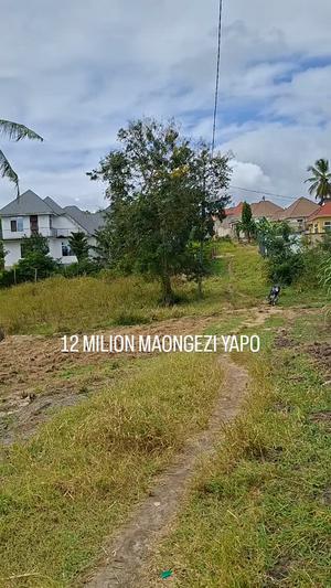 Plot for sale in Mbezi Msakuzi, Dar Es Salaam sqm 400 Plot for sale in Mbezi Msakuzi, Dar Es Salaam sqm 400