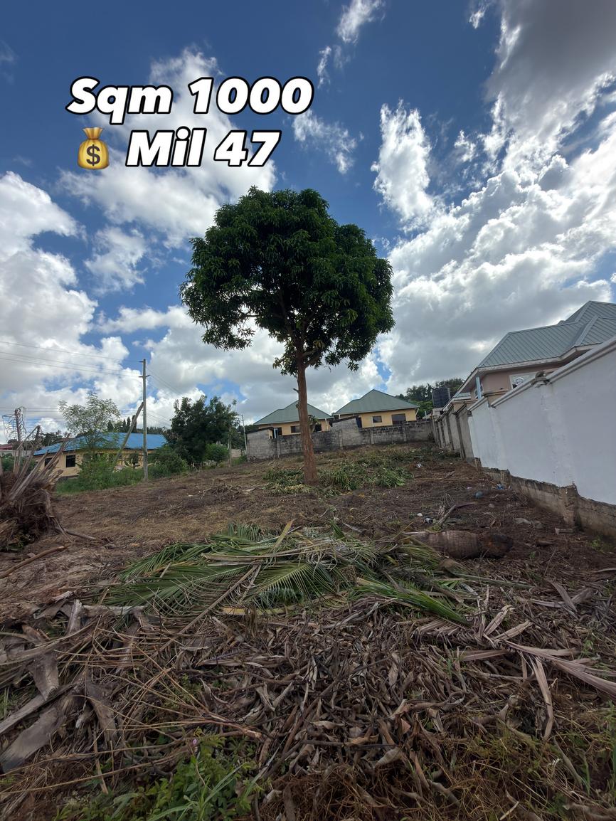  media -1