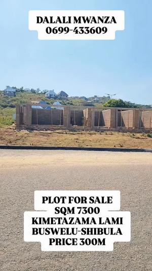 Kiwanja kinauzwa Buswelu Shibula, Mwanza (7300 sqm) Kiwanja kinauzwa Buswelu Shibula, Mwanza (7300 sqm)