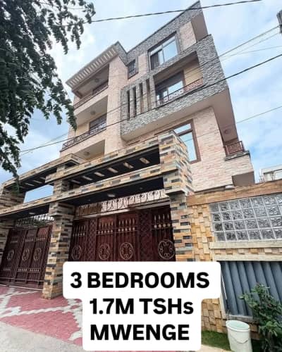 3 Bedrooms House/Apartment for Rent in Mwenge, Dar Es Salaam