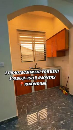 Studio Apartment for Rent in Kinondoni, Dar Es Salaam