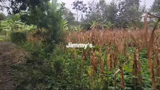 Residential Plot for Sale in Usa River, Arusha (1 acre) Residential Plot for Sale in Usa River, Arusha (1 acre)