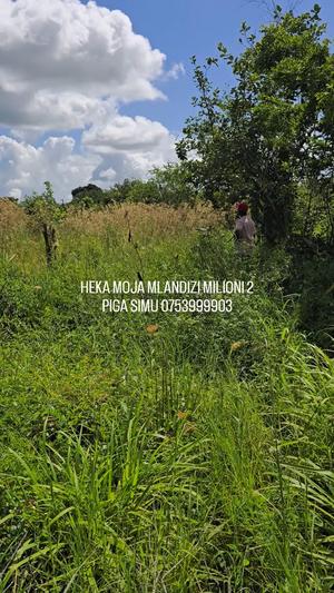Shamba linauzwa Mlandizi, Pwani Shamba linauzwa Mlandizi, Pwani
