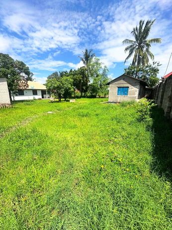 Kiwanja (Residential/Commercial) kinauzwa Kinyerezi Ulongoni, Dar Es Salaam (650 sqm)