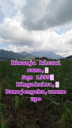 Kiwanja kinauzwa Kingolwira, Morogoro sqm 1599