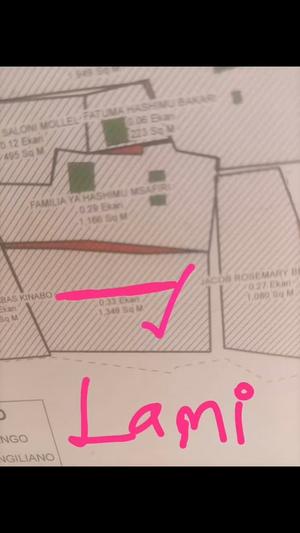 Residential Plot for Sale in Matumbulu Cha Kwanza, Dodoma (1349 sqm)