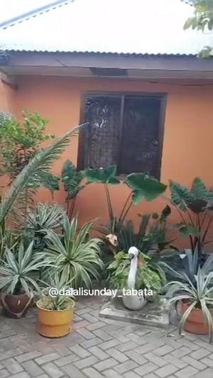 Nyumba/Apartment ya chumba kimoja inapangishwa Tabata Segerea Kwa Bibi, Dar Es Salaam