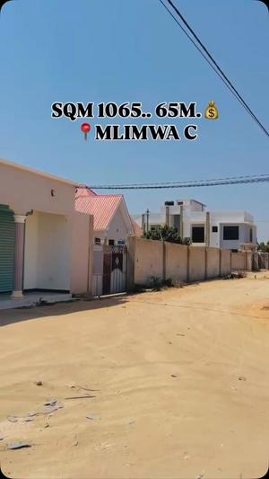 Kiwanja kinauzwa Mlimwa C, Dodoma (1065 sqm) Kiwanja kinauzwa Mlimwa C, Dodoma (1065 sqm)